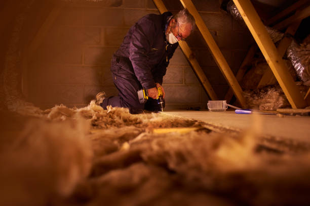 Eco-Friendly or Green Insulation Solutions in Chamberlayne, VA